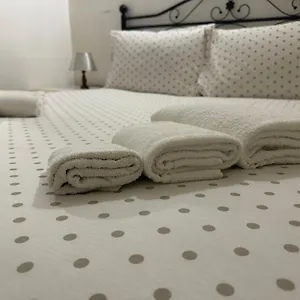 2-passi-dal-mare-di-ampio-trilocale.hotelitalianriviera.com/